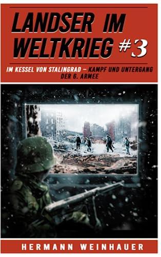 Landser im Weltkrieg 3: Im Kessel von Stalingrad – Kampf und Untergang der 6. Armee (Landser im Weltkrieg – Erlebnisberichte in Romanheft-Länge, Band 3)