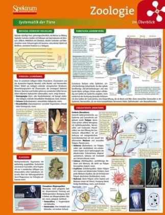 Lerntafel: Zoologie im Überblick (Lerntafeln Biologie)