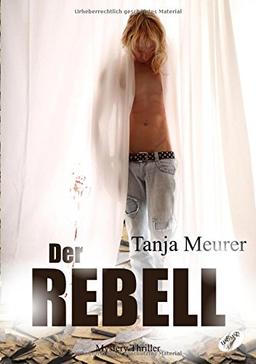 Der Rebell: Schattengrenzen 2