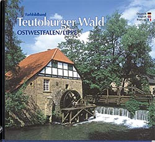 Farbbildreise durch Ostwestfalen/Lippe, Teutoburger Wald - Texte in Deutsch / Englisch / Französisch