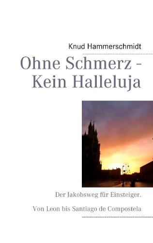 Ohne Schmerz - Kein Halleluja: Der Jakobsweg für Einsteiger. Von Leon bis Santiago de Compostela