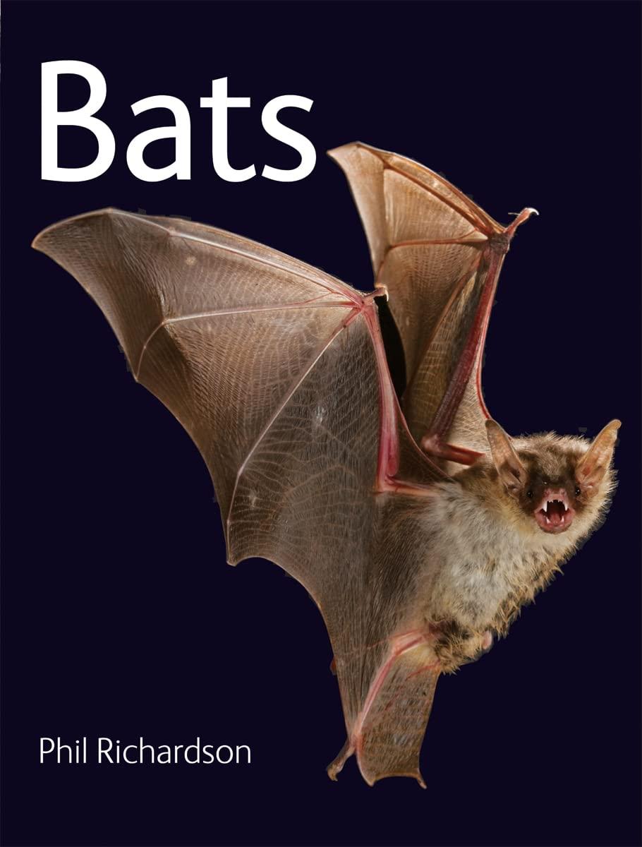 Bats