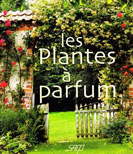 Les plantes à parfum