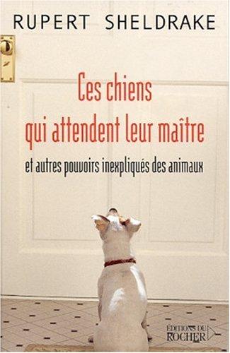 Ces chiens qui attendent leur maître et autres pouvoirs inexpliqués des animaux