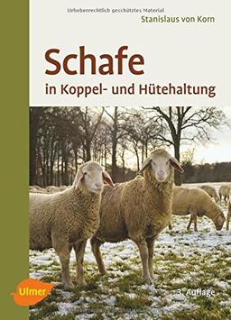 Schafe in Koppel- und Hütehaltung