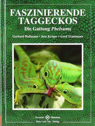 Faszinierende Taggeckos: Die Gattung Phelsuma