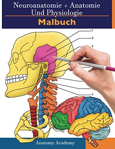 Neuroanatomie + Anatomie und Physiologie Malbuch: 2-in-1-Zusammenstellung | Unglaublich detailliertes Arbeitsheft mit Selbsttestfarben für Studium und ... Selbsttestfarben für Studium und Entspannung