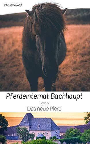 Das neue Pferd (Pferdeinternat Bachhaupt, Band 5)