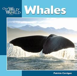 Whales (Our Wild World)