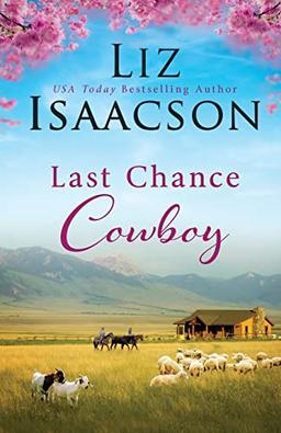 Last Chance Cowboy (Last Chance Ranch Romance, Band 2)