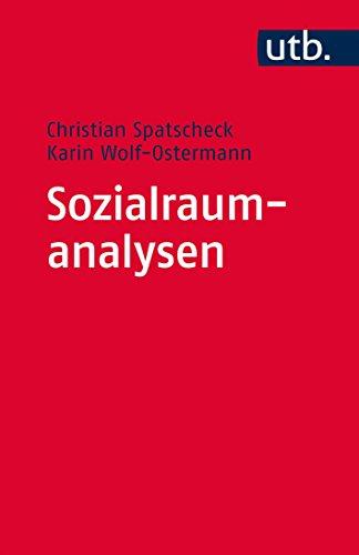 Sozialraumanalysen: Ein Arbeitsbuch für soziale, gesundheits- und bildungsbezogene Dienste