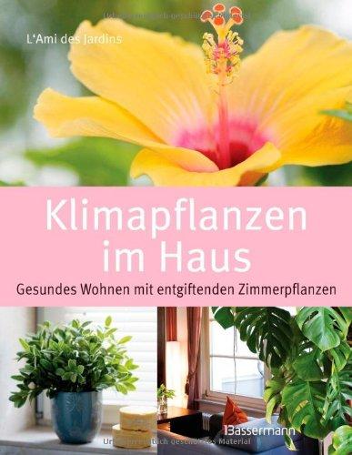 Klimapflanzen im Haus: Gesundes Wohnen mit entgiftenden Zimmerpflanzen