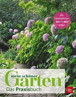 Mein schöner Garten: Das Praxisbuch