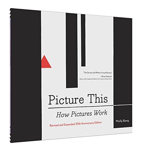 Picture This. 20th Anniversary Edition: How Pictures Work