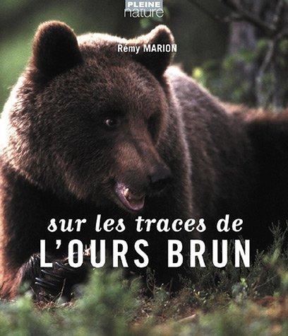 Sur les traces de l'ours brun