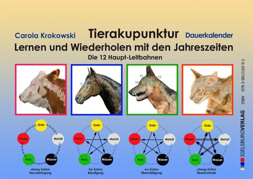 Tierakupunktur Lernkalender mit Dauerkalendarium (Akupunkturpunkte, Leitbahnen, Funktionskreise): Lernen und Wiederholen mit den Jahreszeiten: Der ... mit Spirale, 13 Blätter, ca. 42 x 30 cm