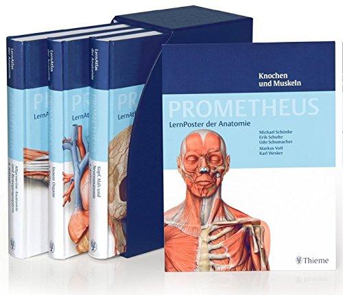 PROMETHEUS LernPaket Anatomie: LernAtlas Anatomie