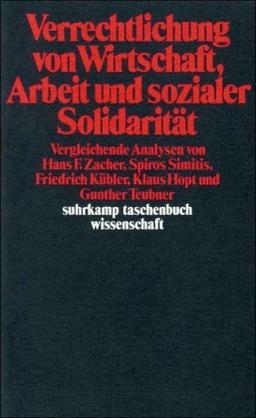 Verrechtlichung von Wirtschaft, Arbeit und sozialer Solidarität: Vergleichende Analysen (suhrkamp taschenbuch wissenschaft)