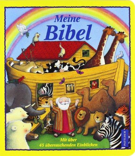 Meine Bibel: Mit über 45 überraschenden Einblicken