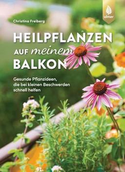 Heilpflanzen auf meinem Balkon: Gesunde Pflanzideen, die bei kleinen Beschwerden schnell helfen