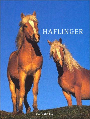 Haflinger (Le Petit Bestia)