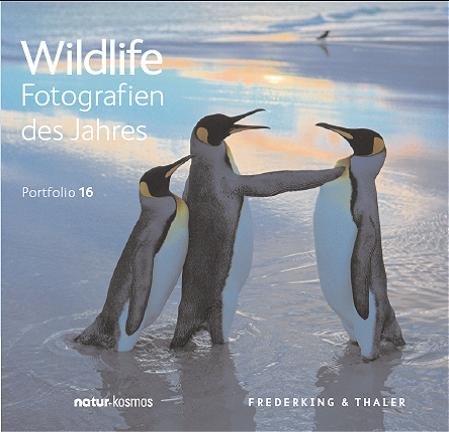 Portfolio 16. BBC Wildlife Fotografien des Jahres