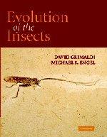 Evolution of the Insects (Cambridge Evolution Series)