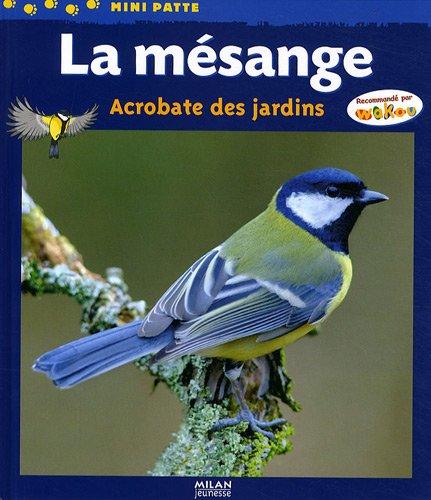 La mésange : acrobate des jardins