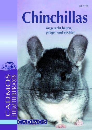 Chinchillas: Artgerecht halten, pflegen und züchten