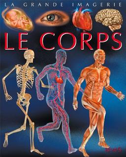 Le corps