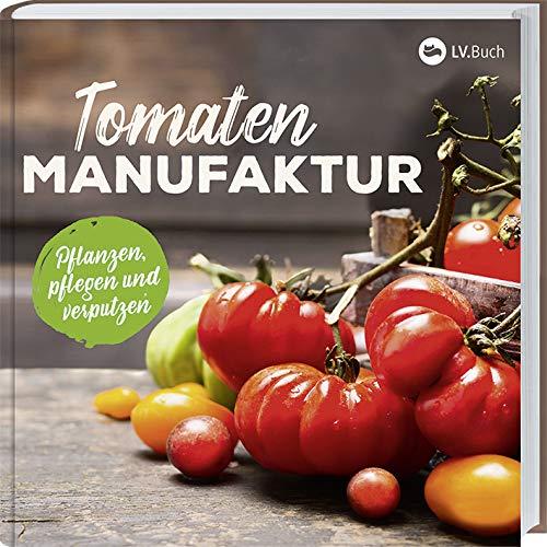 Tomaten-Manufaktur: Pflanzen, pflegen und verputzen