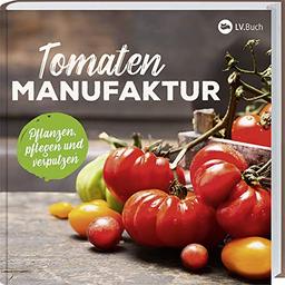 Tomaten-Manufaktur: Pflanzen, pflegen und verputzen