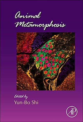 Animal Metamorphosis (Volume 103) (Current Topics in Developmental Biology, Volume 103, Band 103)