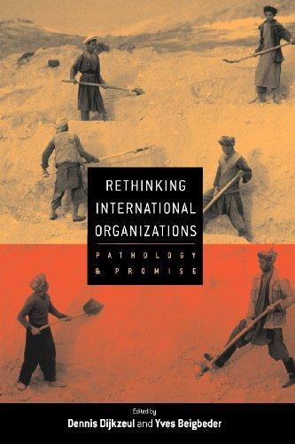 Rethinking International Organizations: Pathology and Promise