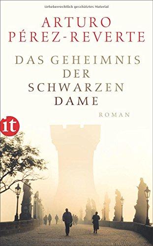 Das Geheimnis der schwarzen Dame: Roman (insel taschenbuch)