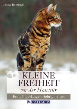 Kleine Freiheit vor der Haustür: Freigängerkatzen richtig halten