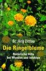 Die Ringelblume. Natürliche Hilfe bei Wunden und Infekten.