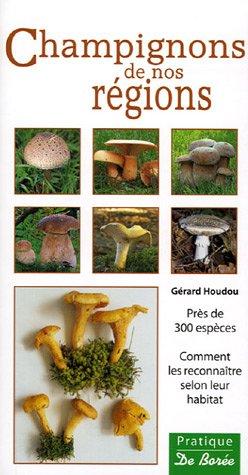 Champignons de nos régions