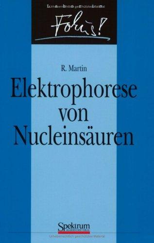 Elektrophorese von Nucleinsäuren