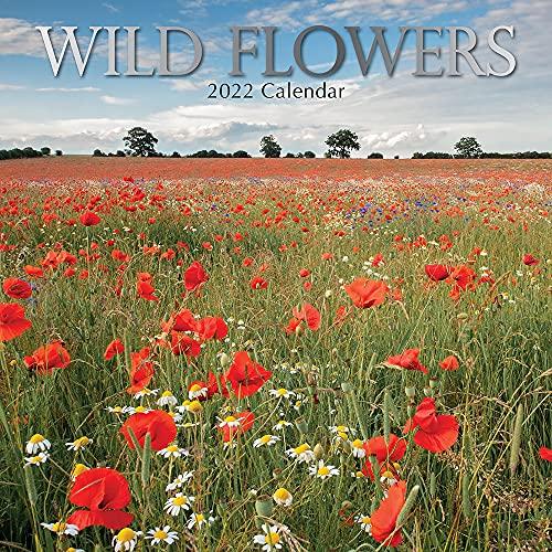 Wild Flowers – Wildblumen 2022 – 16-Monatskalender: Original Gifted Stationery-Kalender [Mehrsprachig] [Kalender] (Wall-Kalender)