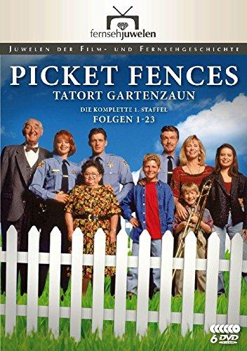 Picket Fences - Tatort Gartenzaun: Die komplette 1. Staffel (Fernsehjuwelen) [6 DVDs]