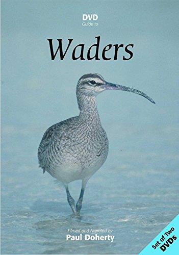 DVD Guide to Waders :Europe,Asia & N.America