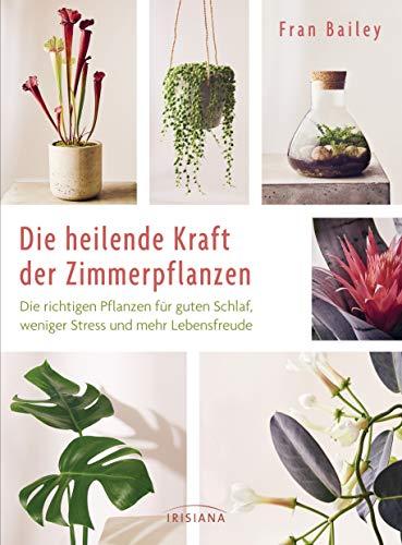 Die heilende Kraft der Zimmerpflanzen: Die richtigen Pflanzen für guten Schlaf, weniger Stress und mehr Lebensfreude - für frische Luft, eine schnelle ... Kopf, mehr Aufmerksamkeit und Mitgefühl