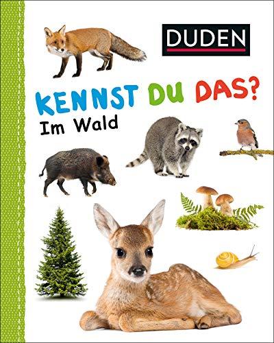 Kennst du das? Im Wald: Kennst du Im Wald (DUDEN Pappbilderbücher Kennst Du das?)