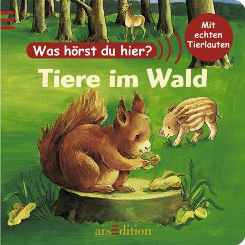 Was hörst du hier? Tiere im Wald