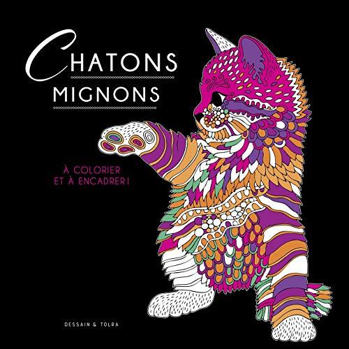 Chatons mignons : à colorier et à encadrer !