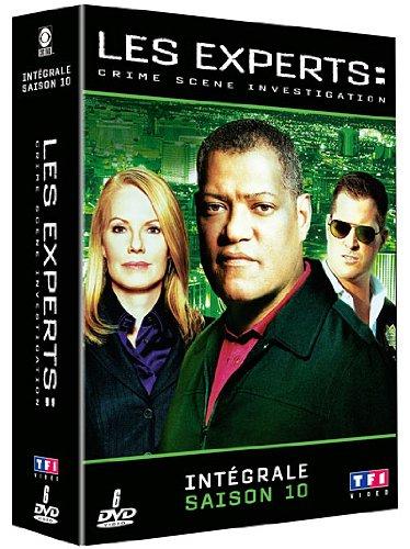 Les experts las vegas, saison 10 [FR Import]