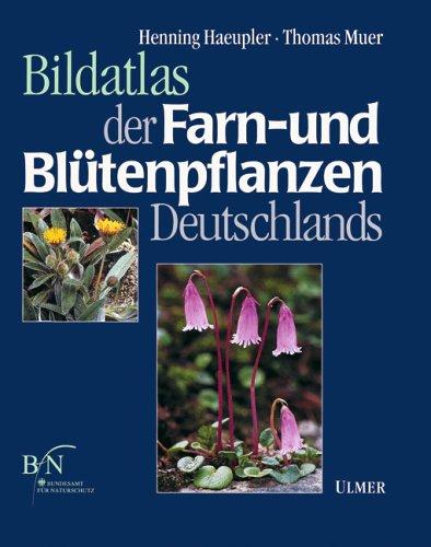 Bildatlas der Farn- und Blütenpflanzen Deutschlands