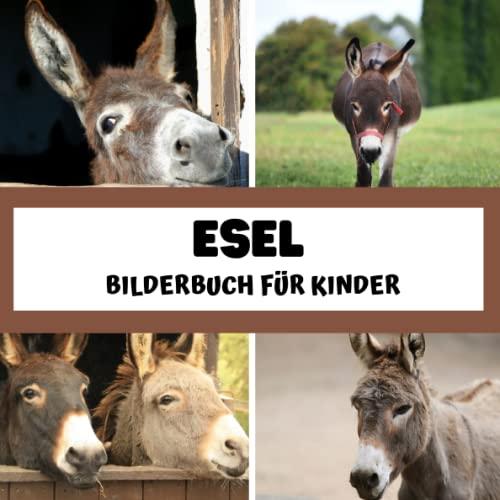 Bilderbuch für Kinder - Esel: Esel in Bildern - Kinder von 2 bis 5 Jahren