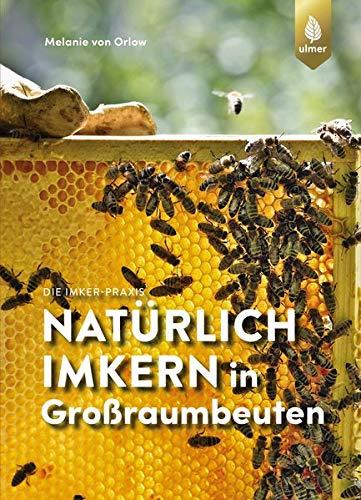 Natürlich imkern in Großraumbeuten